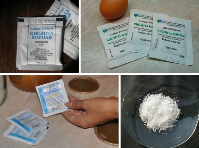 Знищення тарганів — кращий спосіб позбавлення