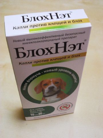 Як Блохнэт допомагає позбутися від бліх кішок і собак