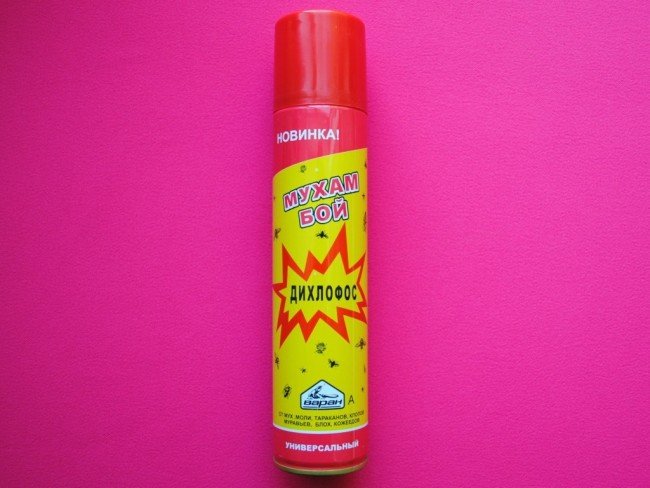 Сильні препарати від клопів — Вибираємо кращий засіб