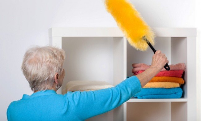 Як швидко позбутися від молі в квартирі: будинок без комах