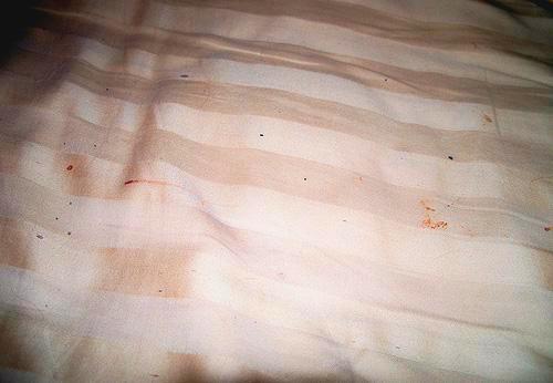 Симптоми того, що до вас завітали постільні клопи