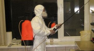 Санобробка: як працює служба знищення тарганів