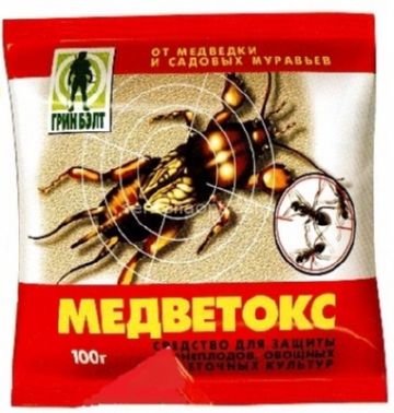 Бронзовка – диво природи чи ворог квітникарів