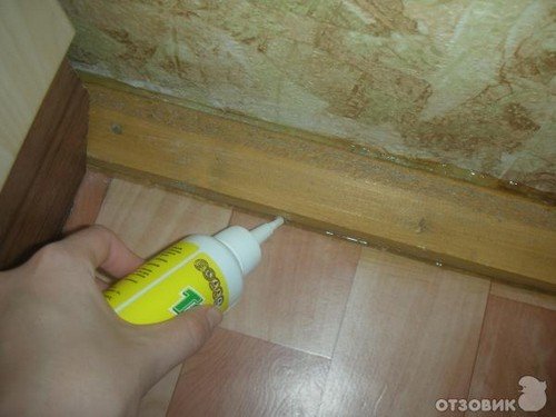 Домашні мурахи – як позбутися від рудих і чорних шкідників