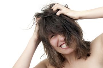 Як виглядають укуси різних видів вошей