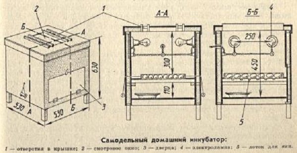 Навіщо потрібен інкубатор для яєць: правила виведення курчат, оптимальний режим і фото Навіщо потрібен інкубатор для яєць: правила виведення курчат, оптимальний режим і фото