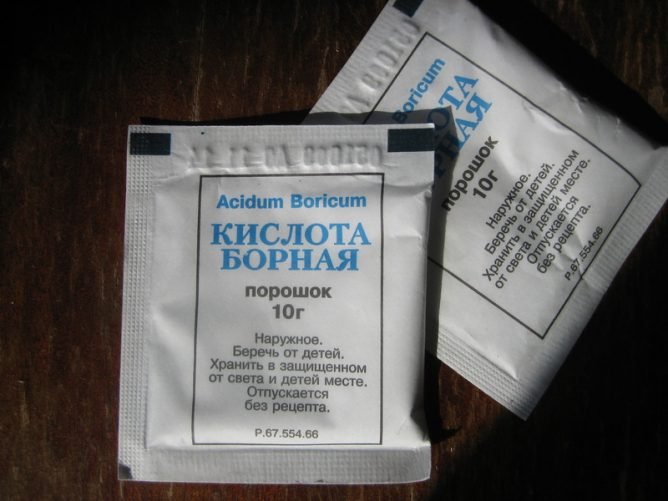 Отрута від тарганів: таблетки, отрути і крейда Машенька