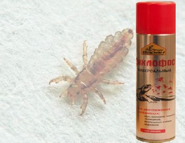 Що розкажуть відгуки про використання Дихлофоса від вошей і гнид