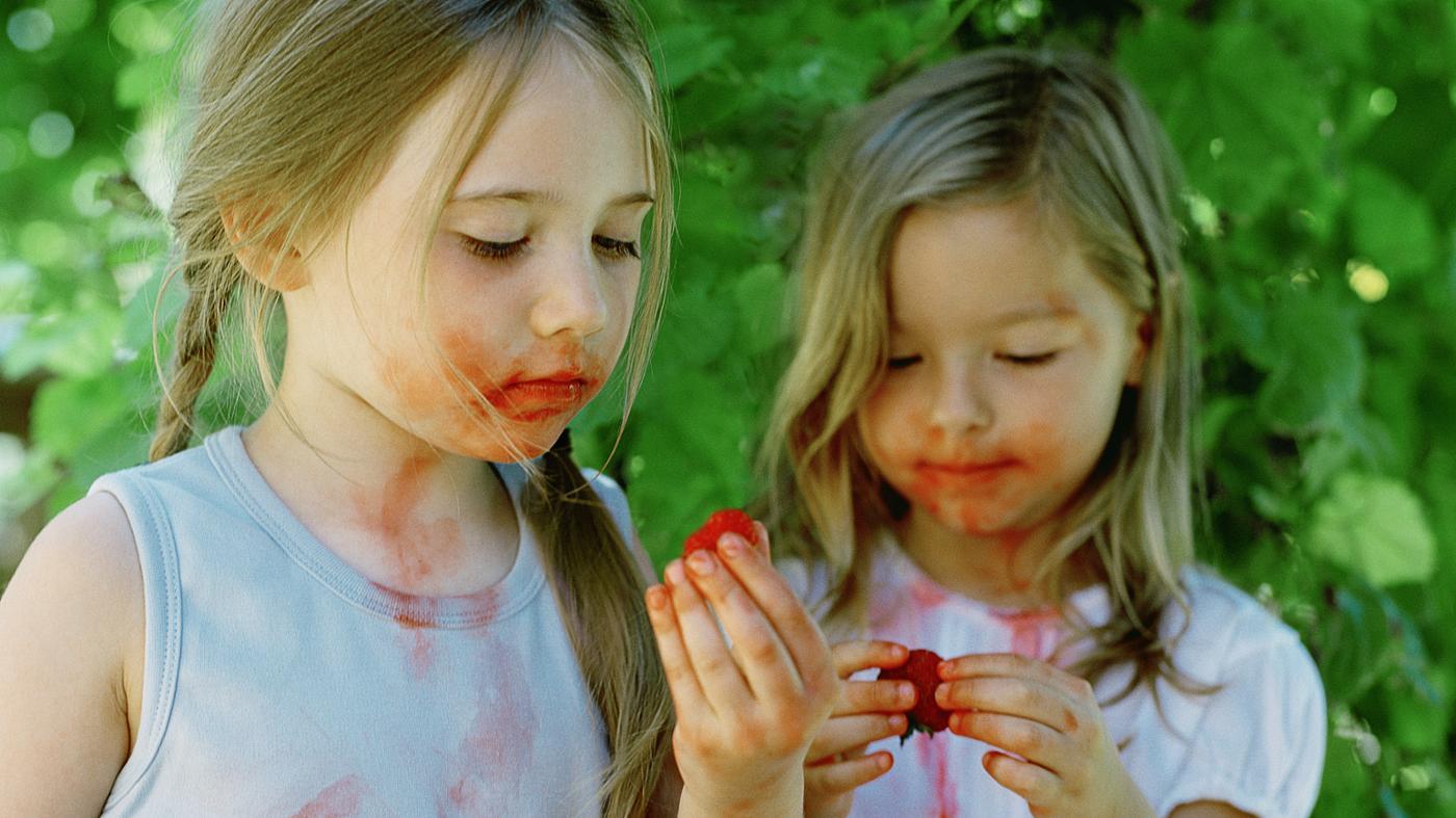 Видалення плям: чим і як можна швидко вивести плями з одягу Видалення плям: чим і як можна швидко вивести плями з одягу