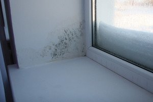 Цвіль на пластиковому вікні   як позбутися і як боротися