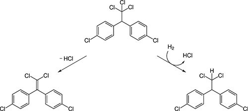 Дуст від клопів: відгуки та інструкція по застосуванню