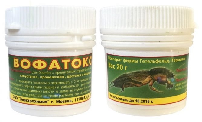 Препарат Вофатокс від капустянки