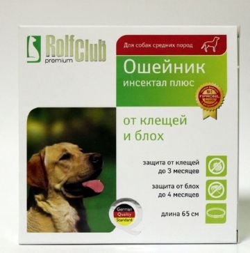 Власоед у собак – опис захворювання і методи лікування