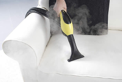 Цькування клопів – хімічні і щадні методи