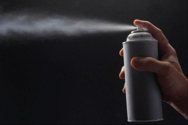 Як позбутися від домашніх мурашок — чи допоможе в цій справі змова?