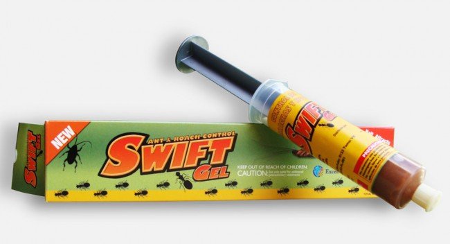 Боротьба з тарганами: з чого почати і як здобути перемогу в цій битві