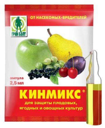 Філоксера винограду: опис, методи боротьби