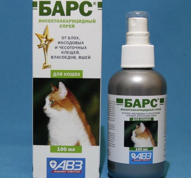 Дихлофос від тарганів: ТОП кращих аерозолів, відгуки