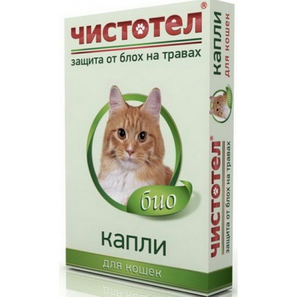 Краплі від бліх: які правильно вибрати для кішки?