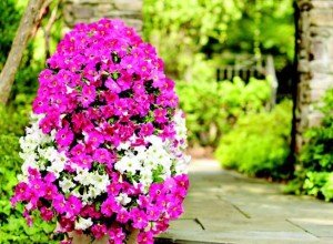 Вертикальні клумби для петунії своїми руками: варіанти оформлення, посадка і подальший догляд за рослиною