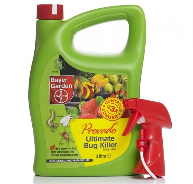 Кошти від попелиці на смородині