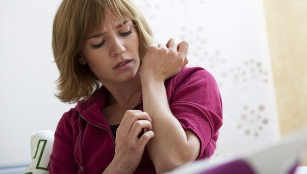 Білизняна вша: звідки береться і як з нею боротися