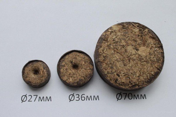 Вирощування розсади петунії в торфяних таблетках: умови посадки і проростання насіння, фото і відео інструкція