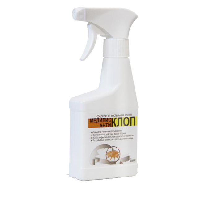 Постільні клопи: звідки взялися, що робити?