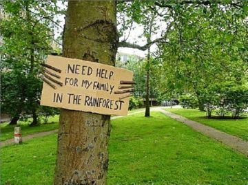 Укус мухи цеце або небезпека зараження сонної хворобою