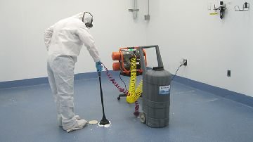 Щурячі кліщі: симптоми і лікування укусів у людини