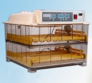 Китайські автоматичні інкубатори: технічні характеристики, виробники і ціни