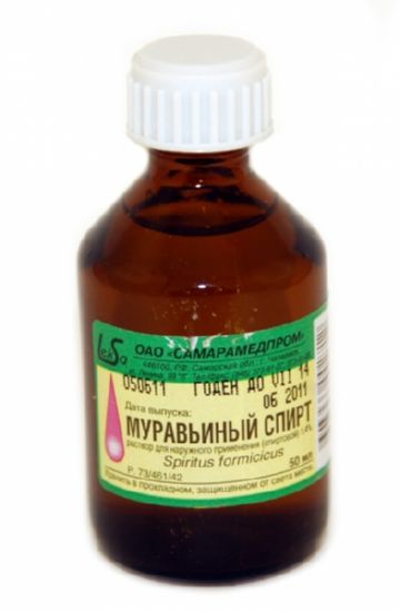 Мураха лісової: користь чи шкода