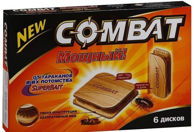 Кращий засіб від тарганів: крейда, аерозолі, пастки — що вибрати?