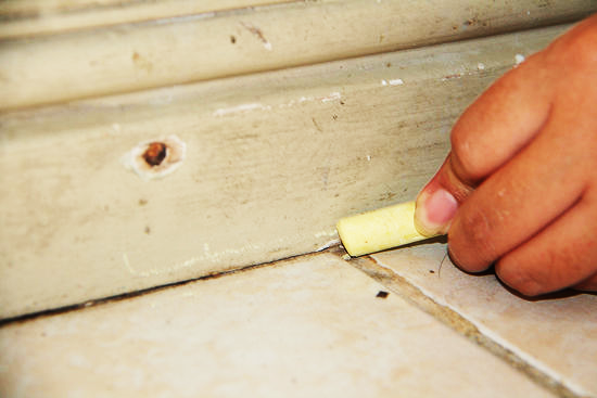 Домашні таргани: як від них позбутися назавжди