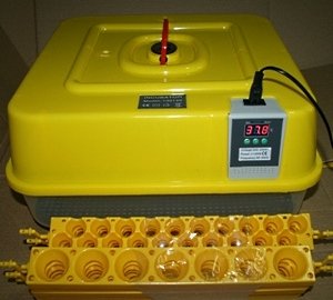 Китайські автоматичні інкубатори: технічні характеристики, виробники і ціни