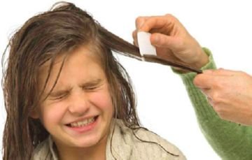 Рецепти виведення вошей і гнид за допомогою оцту