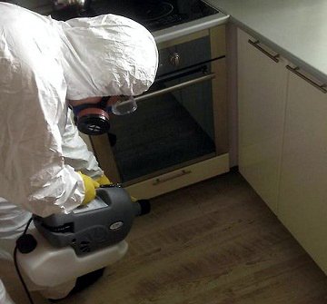 Чим труїти тарганів у квартирі? Як боротися з цими комахами. В які служби звернутися за допомогою