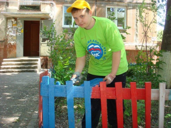 Типи фарб для дерева та їх особливості