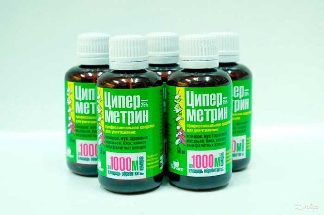 Як знищити домашніх клопів