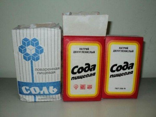 Як вивести бліх з квартири швидко і ефективно?