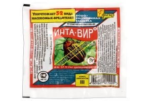 Обробка сливи навесні від хвороб і шкідників: вивчаємо ефективні препарати і розбираємо графік обприскування