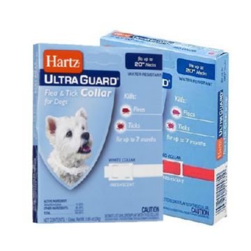 Що таке нашийник від бліх для собак і допомагає він позбутися від паразитів Що таке нашийник від бліх для собак і допомагає він позбутися від паразитів