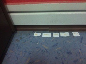 Абсолют гель від тарганів: інструкція для знищення в будинку