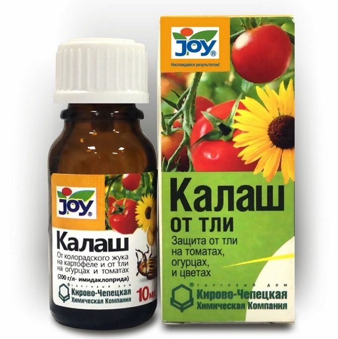 Як знищити тлю народними срествами