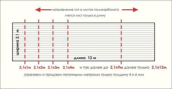 Як вибрати стільниковий полікарбонат — розміри листа і технічні характеристики (фото, відео)