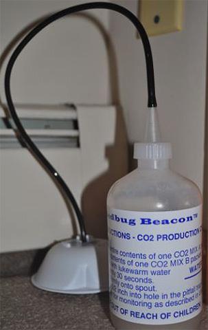 Як позбутися від клопів – перелік найбільш ефективних препаратів