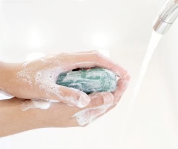 Любитель трупів — сіра мясна муха Любитель трупів — сіра мясна муха