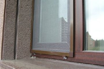 Укус мухи цеце або небезпека зараження сонної хворобою