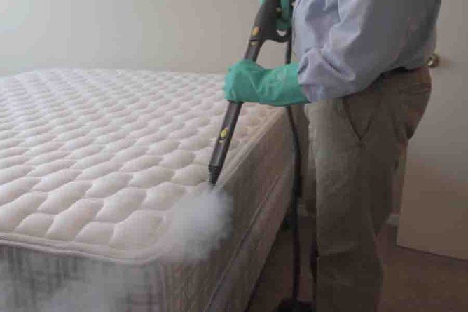 Як позбутися від домашніх клопів в квартирі