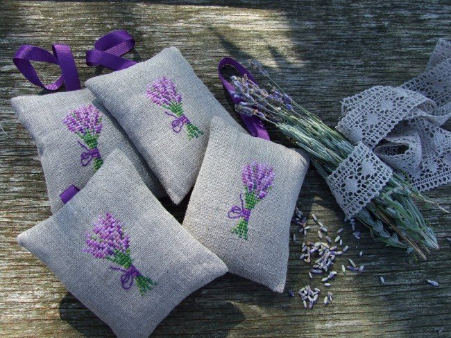 Білизняна вша: звідки береться і як з нею боротися